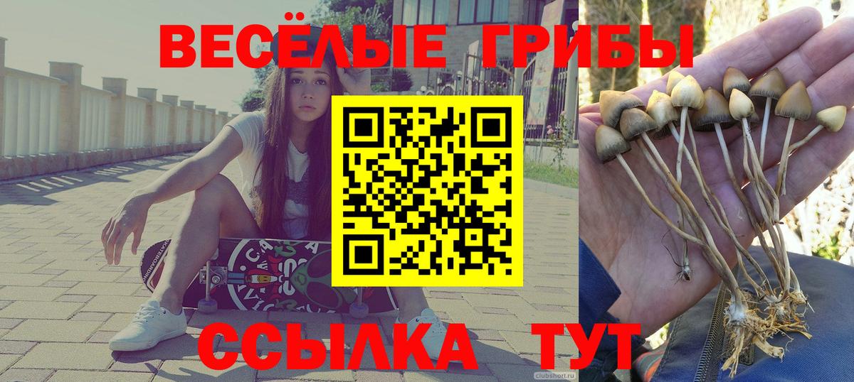 Белорецк  Галлюциногенные грибы Psilocybine cubensis  Вход с VPN 